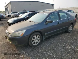 2005 Honda Accord EX-L z VIN 1HGCM66505A009257, wystawiony jako Copart lot #59438255 z przebiegiem 221 049 mil mil oraz Czysty tytuł • Clean title. Historia ofert i sprzedaży dostępna na DreamBid. Obrazek 1.