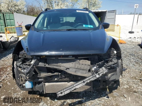 2017 Ford Escape SE with VIN 1FMCU0G95HUF02878, listed as a Copart auction lot 51293845 with 116,443 mi miles and Salvage Title. Bid and sale history available at carsss.com. Image 5.