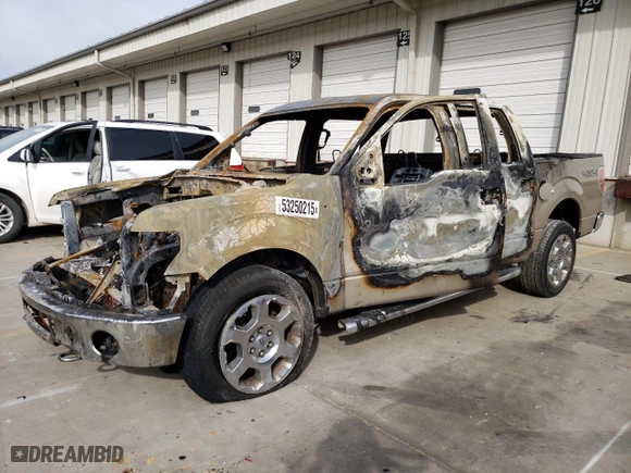 2010 Ford F-150 XL with VIN 1FTFW1EV7AFD62196, listed as a Copart auction lot 53250215 with 0 mi miles and Non Repairable. Bid and sale history available at carsss.com. Image 1.