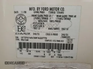2009 Ford F-150 XL with VIN 1FTPX14V39FA22770, listed as a Copart auction lot 49878895 with 230,063 mi miles and Salvage Title. Bid and sale history available at carsss.com. Image 12.