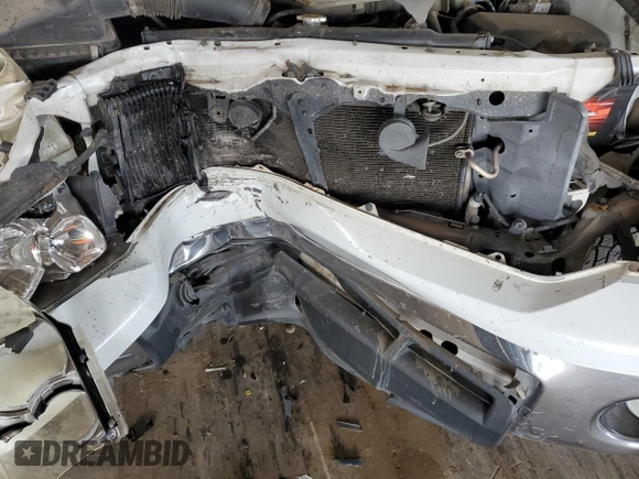2010 Toyota Tundra with VIN 5TFEY5F13AX081869, listed as a Copart auction lot 58981615 with Not provided miles and Salvage title. Bid and sale history available at DreamBid. Image 11.