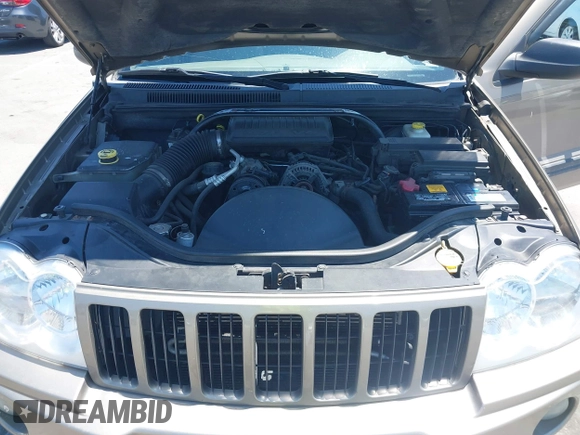 2005 Jeep Grand Cherokee Laredo with VIN 1J4GR48K25C501943, listed as a IAAI auction lot 42767465 with 132,247 mi miles and . Bid and sale history available at DreamBid. Image 10.