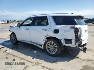 2020 Hyundai Palisade Limited with VIN KM8R5DHE9LU102289, listed as a Copart auction lot 54194415 with 98,282 mi miles and Salvage title. Bid and sale history available at DreamBid. Image 2.