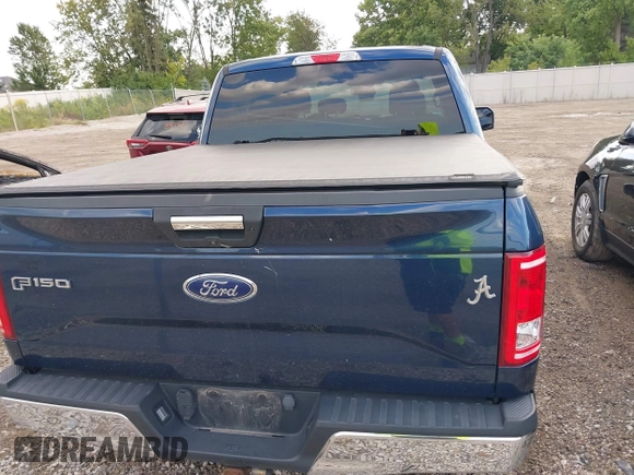 2016 Ford F-150 XL with VIN 1FTEW1CP6GFA42456, listed as a IAAI auction lot 40248854 with 196,479 mi miles and . Bid and sale history available at DreamBid. Image 16.