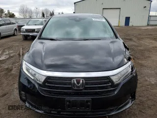 2024 Honda Odyssey EX-L with VIN 5FNRL6H69RB501705, listed as a Copart auction lot 53372625 with 29,603 mi miles and Clean Title. Bid and sale history available at DreamBid. Image 5.