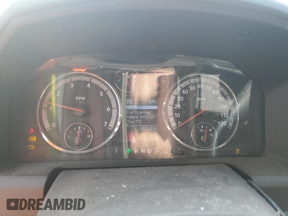 2010 Dodge 1500 TRX with VIN 1D7RV1GTXAS163264, listed as a Copart auction lot 50192525 with 283,740 mi miles and Salvage Title. Bid and sale history available at carsss.com. Image 9.