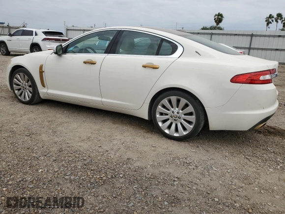 2009 Jaguar XF Premium Luxury with VIN SAJWA06B09HR36751, listed as a Copart auction lot 51799935 with Not Provided miles and Salvage Title. Bid and sale history available at DreamBid. Image 2.