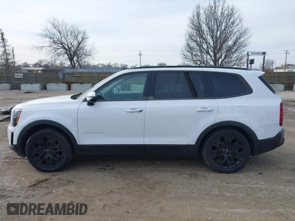 2022 Kia Telluride EX with VIN 5XYP3DHC3NG204367, listed as a IAAI auction lot 41850949 with 87,394 mi miles and . Bid and sale history available at carsss.com. Image 15.