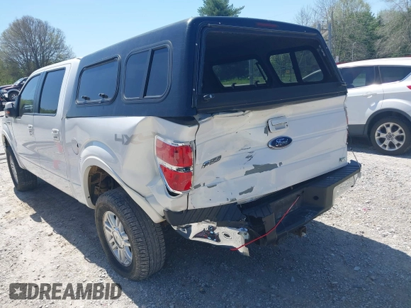 2010 Ford F-150 XL with VIN 1FTFW1EV3AKE16813, listed as a IAAI auction lot 41999051 with 206,457 mi miles. Bid and sale history available at carsss.com. Image 6.