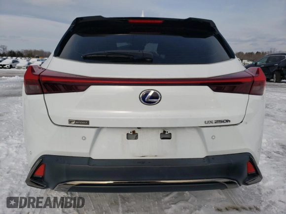 2020 Lexus UX 250h F Sport with VIN JTHR9JBH7L2032974, listed as a Copart auction lot 87505865 with 51,461 mi miles and Salvage title. Bid and sale history available at DreamBid. Image 6.