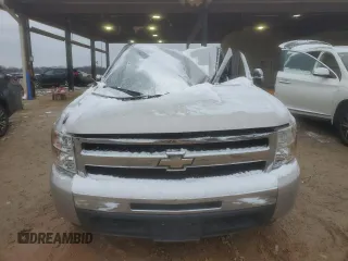 2009 Chevrolet Silverado 1500 with VIN 2GCEC23J191140301, listed as a Copart auction lot 45950505 with Not Provided miles and Non Repairable. Bid and sale history available at DreamBid. Image 5.