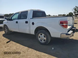 2010 Ford F-150 XL with VIN 1FTEW1C82AFA63417, listed as a Copart auction lot 62702535 with 254,474 mi miles and Clean title. Bid and sale history available at DreamBid. Image 2.