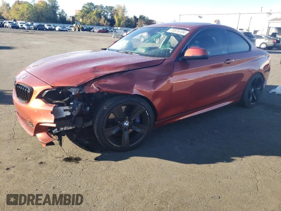 2018 BMW 2 Series 230i xDrive with VIN WBA2J3C53JVA49891, listed as a Copart auction lot 75574104 with 55,253 mi miles and Salvage title. Bid and sale history available at DreamBid. Image 1.