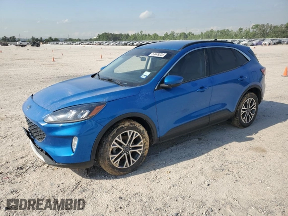 2021 Ford Escape SEL with VIN 1FMCU9H66MUA51351, listed as a Copart auction lot 53449225 with Not provided miles and Salvage title. Bid and sale history available at DreamBid. Image 1.