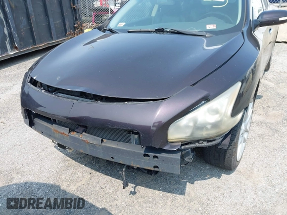 2010 Nissan Maxima SV with VIN 1N4AA5AP1AC872882, listed as a IAAI auction lot 42436283 with Not provided miles and . Bid and sale history available at DreamBid. Image 6.