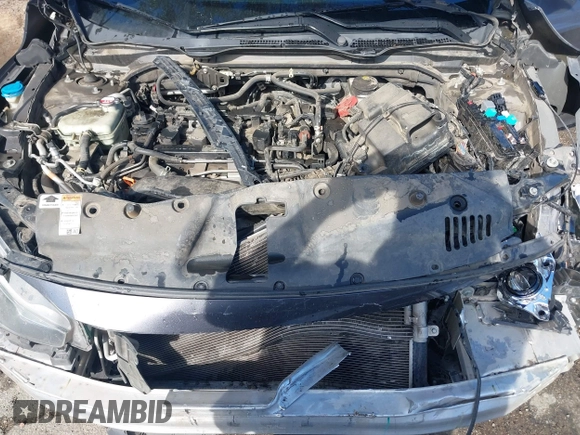 2017 Honda Civic EX-T with VIN 2HGFC1F33HH650782, listed as a IAAI auction lot 41685090 with 113,319 mi miles and . Bid and sale history available at carsss.com. Image 10.