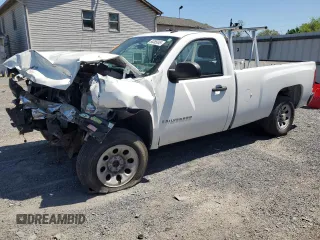 2009 Chevrolet Silverado 1500 Work Truck with VIN 1GCEC14X19Z122448, listed as a Copart auction lot 54385045 with Not Provided miles and Clean Title. Bid and sale history available at DreamBid. Image 1.