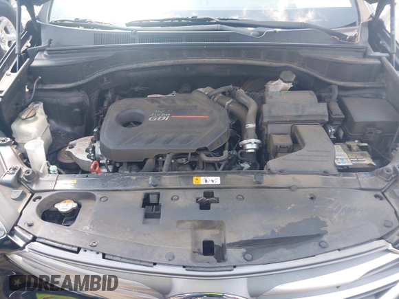 2017 Hyundai Santa Fe Ultimate with VIN 5NMZW4LA1HH052430, listed as a IAAI auction lot 42205489 with 85,720 mi miles and . Bid and sale history available at DreamBid. Image 10.