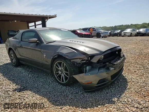2013 Ford Mustang GT with VIN 1ZVBP8CF0D5215628, listed as a Copart auction lot 52619785 with 80,321 mi miles and Salvage title. Bid and sale history available at DreamBid. Image 11.