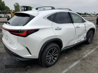 2023 Lexus NX 250 with VIN JTJADCAZ5P5011769, listed as a Copart auction lot 59917725 with 21,887 mi miles and Salvage title. Bid and sale history available at DreamBid. Image 3.