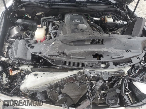 2020 Lexus IS 300 with VIN JTHAA1D20L5107400, listed as a Copart auction lot 58999335 with 74,777 mi miles and Non repairable. Bid and sale history available at DreamBid. Image 11.