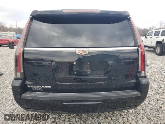2016 Cadillac Escalade ESV Luxury Collection with VIN 1GYS4HKJ1GR338525, listed as a Copart auction lot 47168955 with Not provided miles and Salvage title. Bid and sale history available at DreamBid. Image 6.