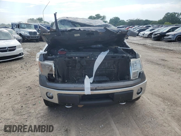 2011 Ford F-150 XL with VIN 1FTFX1ET1BFD12181, listed as a Copart auction lot 58925645 with Not provided miles and Salvage title. Bid and sale history available at DreamBid. Image 5.