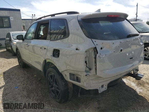 2024 Kia Telluride SX X-Line with VIN 5XYP5DGC7RG431157, listed as a Copart auction lot 48375855 with 17,765 mi miles and Salvage Title. Bid and sale history available at carsss.com. Image 2.