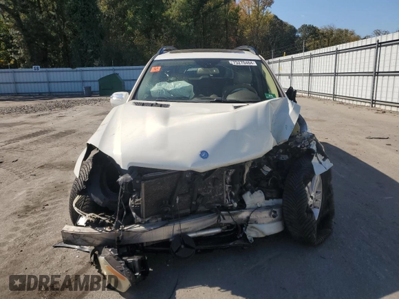 2009 Mercedes-Benz GL 450 with VIN 4JGBF71E59A519316, listed as a Copart auction lot 75270484 with 218,118 mi miles and Salvage Title. Bid and sale history available at DreamBid. Image 5.