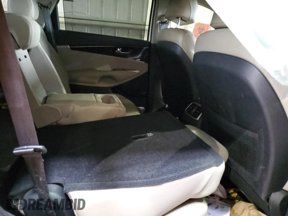 2017 Kia Sorento EX with VIN 5XYPH4A16HG257031, listed as a Copart auction lot 70830874 with Not provided miles and Salvage title. Bid and sale history available at DreamBid. Image 10.