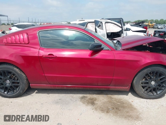 2014 Ford Mustang V6 with VIN 1ZVBP8AM7E5299126, listed as a IAAI auction lot 42343555 with 115,331 mi miles and . Bid and sale history available at DreamBid. Image 13.
