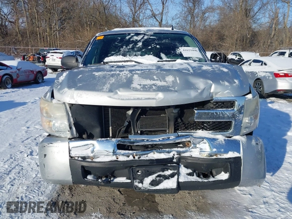 2010 Chevrolet Silverado 1500 LS with VIN 1GCSCREA8AZ275862, listed as a IAAI auction lot 41621090 with 280,598 mi miles. Bid and sale history available at carsss.com. Image 13.