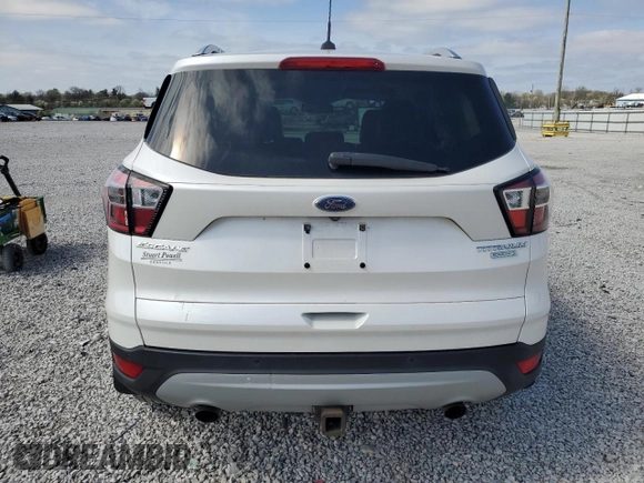 2017 Ford Escape Titanium with VIN 1FMCU0J92HUD75757, listed as a Copart auction lot 51003895 with 119,143 mi miles and Salvage Title. Bid and sale history available at DreamBid. Image 6.