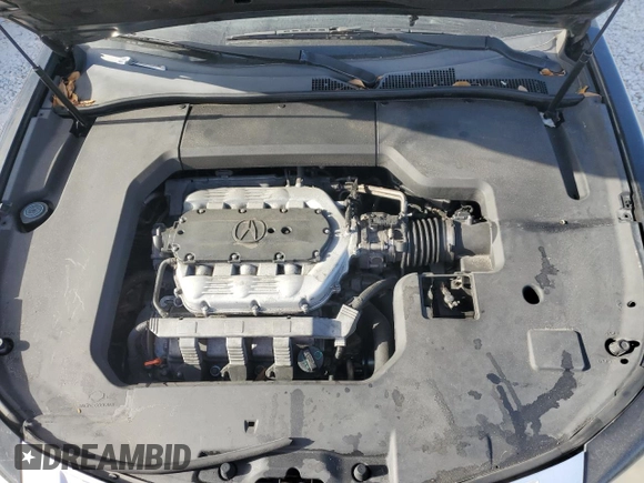 2009 Acura TL Tech with VIN 19UUA86579A009979, listed as a Copart auction lot 55297275 with 136,573 mi miles and Clean Title. Bid and sale history available at carsss.com. Image 11.