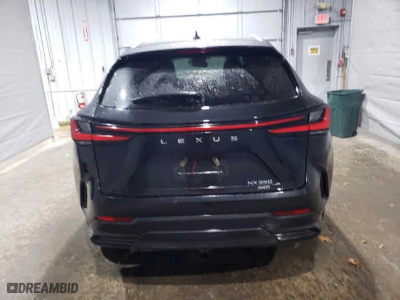 2022 Lexus NX with VIN 2T2GGCEZXNC004228, listed as a Copart auction lot 48962545 with 31,451 mi miles and Salvage Title. Bid and sale history available at carsss.com. Image 6.