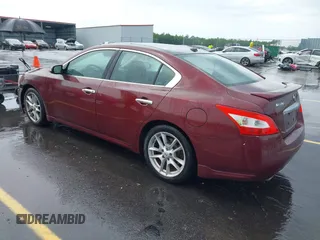 2010 Nissan Maxima 3.5 SV with VIN 1N4AA5AP7AC809317, listed as a IAAI auction lot 42095436 with 144,556 mi miles. Bid and sale history available at carsss.com. Image 3.