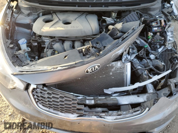 2016 Kia Forte LX with VIN KNAFX4A66G5479731, listed as a Copart auction lot 87704475 with 0 mi miles and Salvage Title. Bid and sale history available at carsss.com. Image 12.