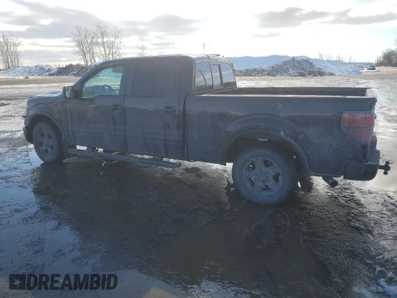 2013 Ford F-150 XL with VIN 1FTFW1CF2DFD07185, listed as a Copart auction lot 46261025 with 282,067 mi miles and Salvage Title. Bid and sale history available at carsss.com. Image 2.