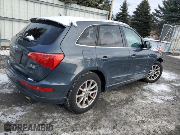 2010 Audi Q5 Premium with VIN WA1CKAFP5AA029680, listed as a Copart auction lot 42488425 with 174,198 mi miles and Salvage Title. Bid and sale history available at carsss.com. Image 3.