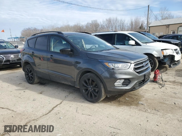 2019 Ford Escape SE with VIN 1FMCU0GDXKUA46873, listed as a Copart auction lot 44201505 with 123,631 mi miles and Salvage Title. Bid and sale history available at carsss.com. Image 4.