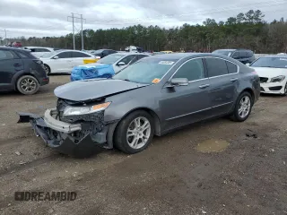 2009 Acura TL Tech with VIN 19UUA86509A012867, listed as a Copart auction lot 45064305 with 253,863 mi miles and Salvage Title. Bid and sale history available at carsss.com. Image 1.