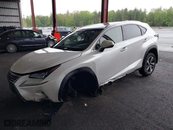2019 Lexus NX 300 с VIN JTJBARBZ2K2183055, выставлен на аукционе IAAI как лот 42244828 с пробегом 89 589 миль миль и . История ставок и продаж доступна на DreamBid. Изображение 19.