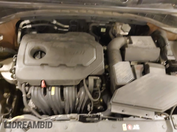 2018 Kia Sportage LX with VIN KNDPM3AC2J7381114, listed as a IAAI auction lot 41214824 with 82,178 mi miles and . Bid and sale history available at carsss.com. Image 10.
