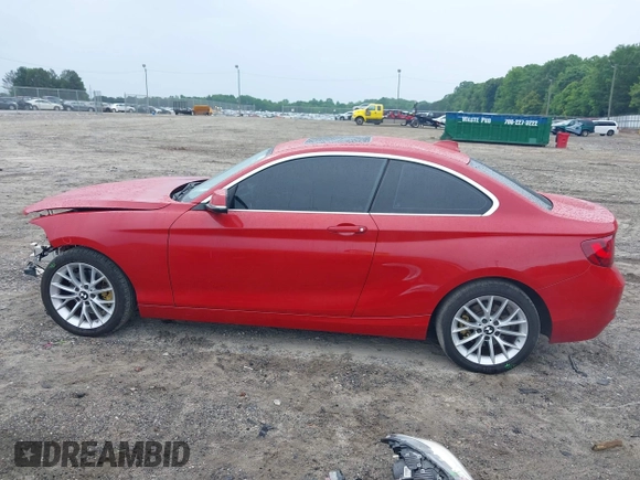 2016 BMW 2 Series 228i with VIN WBA1F9C54GV742703, listed as a IAAI auction lot 42209964 with 114,330 mi miles and . Bid and sale history available at DreamBid. Image 15.