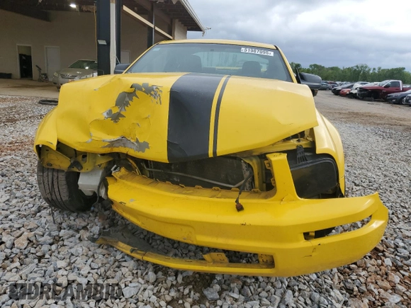 2006 Ford Mustang Standard with VIN 1ZVFT80N065127934, listed as a Copart auction lot 51987095 with Not Provided miles and Salvage Title. Bid and sale history available at carsss.com. Image 5.