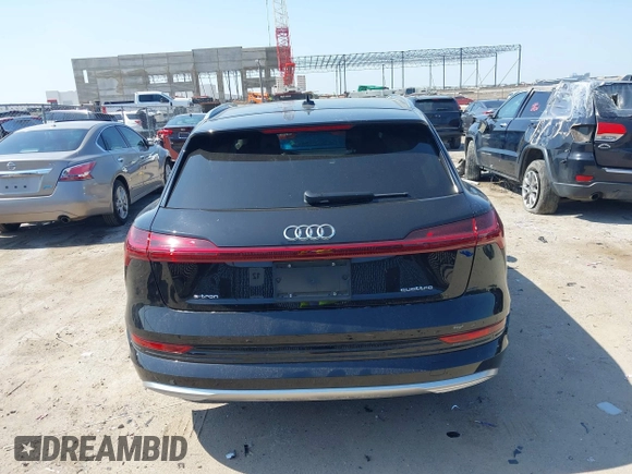 2022 Audi e-tron Premium Plus with VIN WA1LABGE6NB022565, listed as a IAAI auction lot 42402533 with 25,075 mi miles and . Bid and sale history available at DreamBid. Image 17.