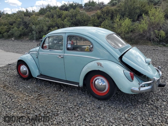 1964 Volkswagen Beetle with VIN 6441255, listed as a Copart auction lot 56974525 with 2,403 mi miles and Salvage title. Bid and sale history available at DreamBid. Image 2.