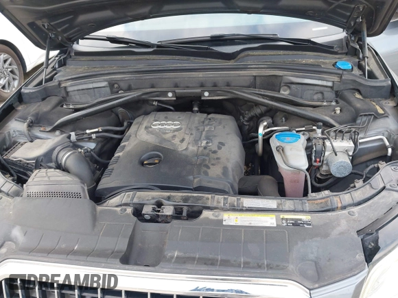 2013 Audi Q5 Premium Plus with VIN WA1LFAFP6DA029437, listed as a IAAI auction lot 42137954 with 135,769 mi miles. Bid and sale history available at carsss.com. Image 10.