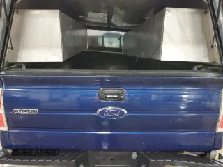 2009 Ford F-150 with VIN 1FTPF14V39KB74154, listed as a Copart auction lot 55580845 with 123,487 mi miles and Salvage title. Bid and sale history available at DreamBid. Image 10.