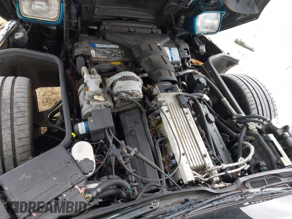1993 Chevrolet Corvette with VIN 1G1YY33P2P5105165, listed as a IAAI auction lot 42410809 with Not provided miles and . Bid and sale history available at DreamBid. Image 10.